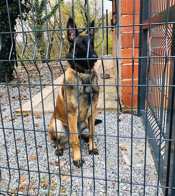 Slika 1 – predstavitev zunanjega boksa