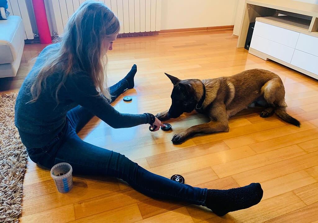 Pes se ne sme dotakniti pokrovčka...