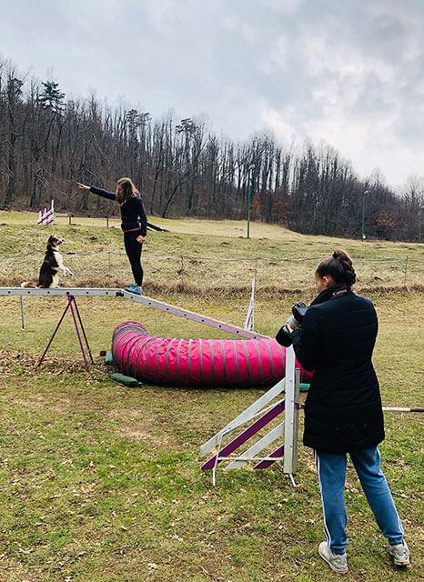 Psička Lolly med izvajanjem trikca