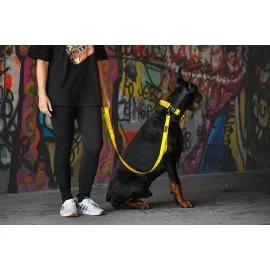 Klasičen povodec 25mm 