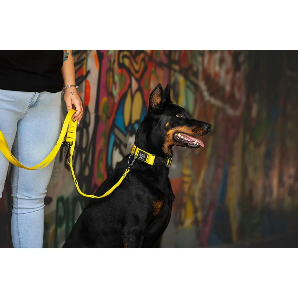 Preklopni povodec 25 mm dolžine 2 m