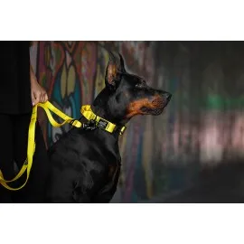 Preklopni povodec 25 mm dolžine 2 m