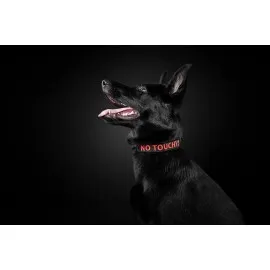 Našitek z besedilom