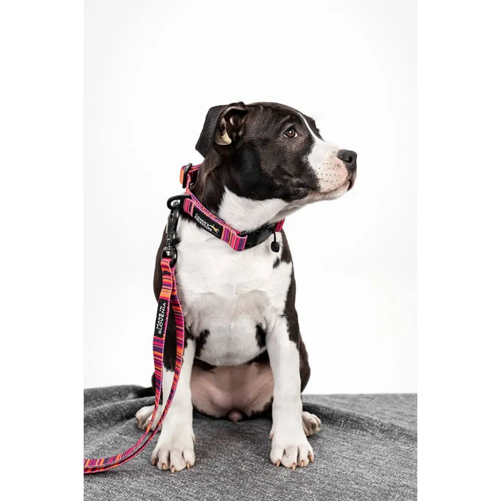 Klasičen povodec 20mm