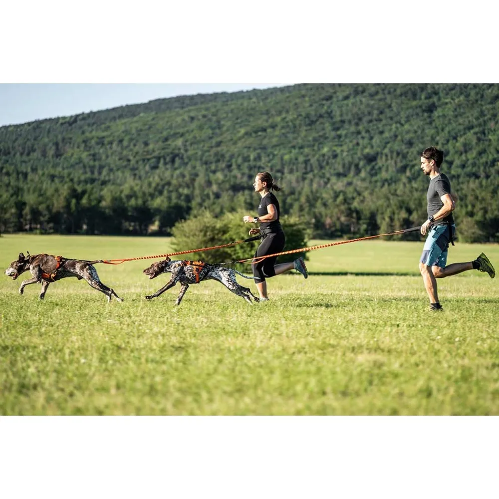 Elastičen povodec 25mm