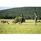 Elastičen povodec 25mm