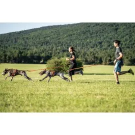 Elastičen povodec 25mm