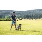 Elastičen povodec 25mm