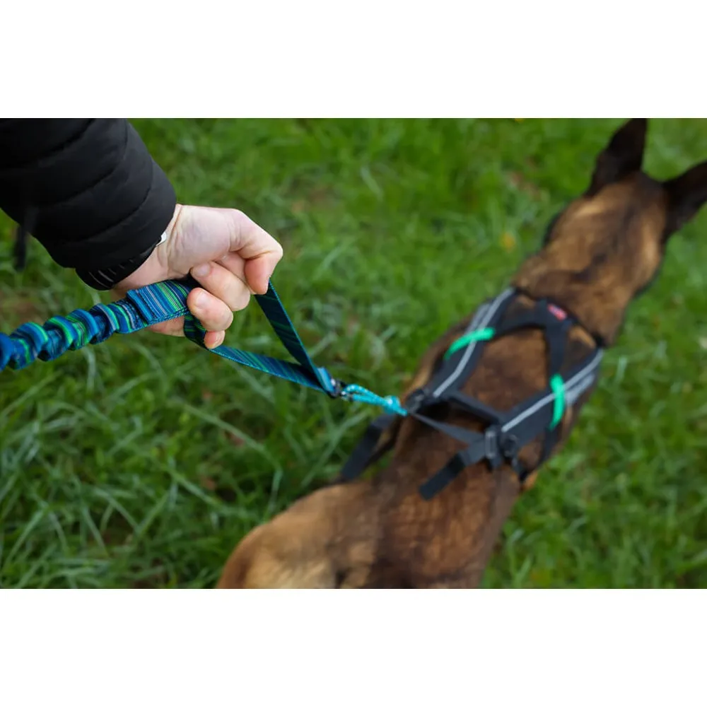 Elastičen povodec 25mm