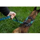 Elastičen povodec 25mm