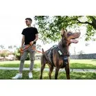 Infinity Oprsnica - Long 40mm