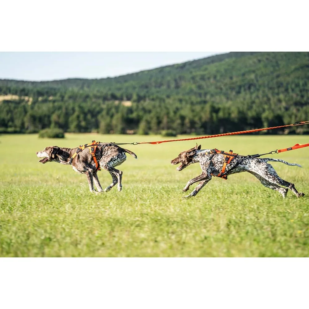 Infinity Oprsnica - Run 25mm