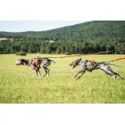 Infinity Oprsnica - Run 25mm