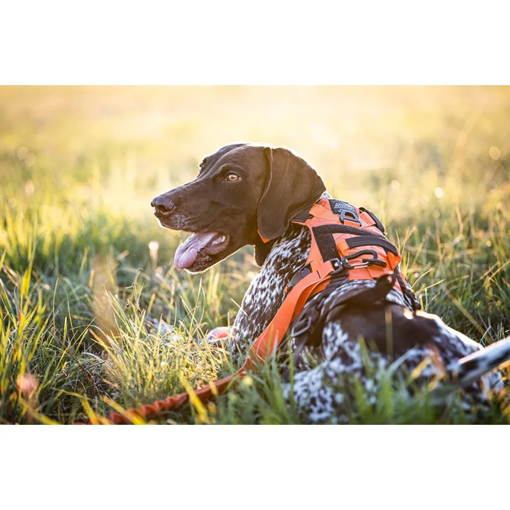 Infinity Oprsnica - Run 25mm