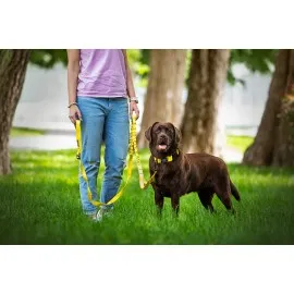 Nastavljiv elastičen povodec 25mm