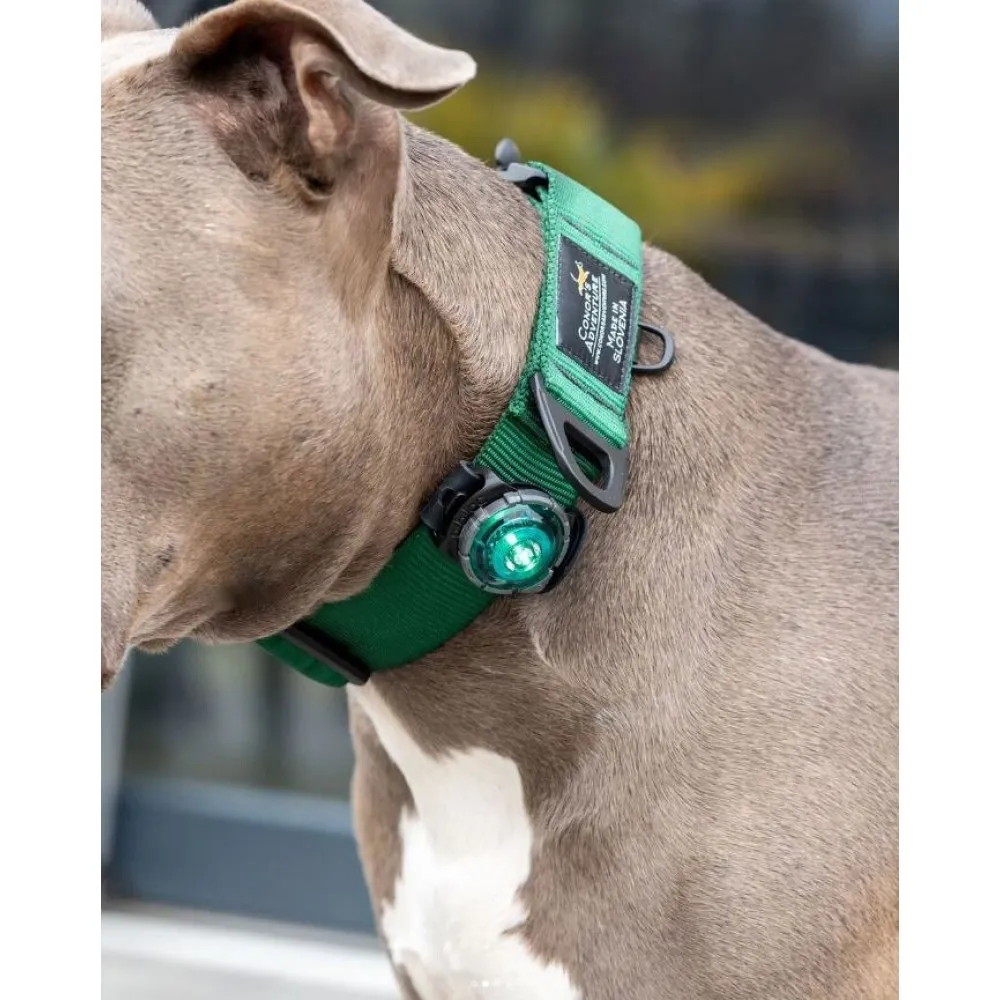 Orbiloc Dog Dual lučka