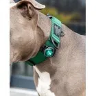 Orbiloc Dog Dual lučka