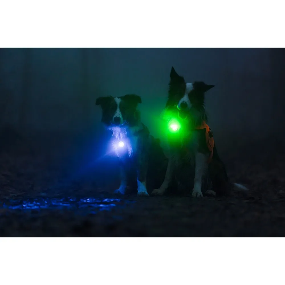 Orbiloc Dog Dual lučka