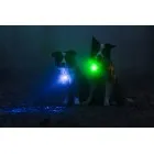 Orbiloc Dog Dual lučka