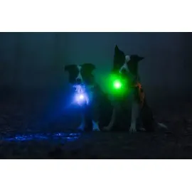 Orbiloc Dog Dual lučka