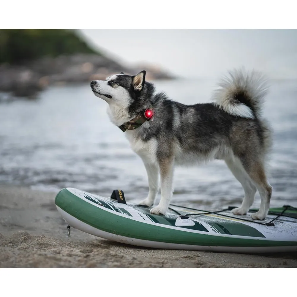 Orbiloc Dog Dual lučka