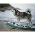 Orbiloc Dog Dual lučka