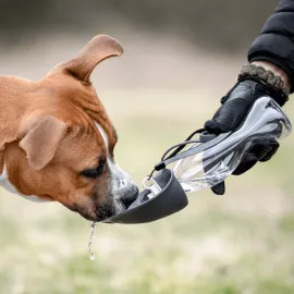 Pasja plastenka za vodo