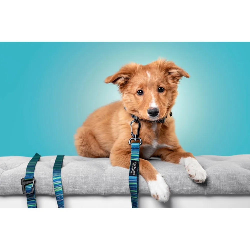 Klasičen povodec 20mm