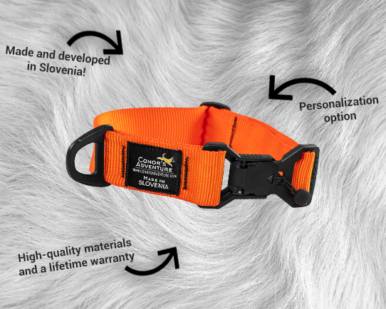 Conor's Adventure Story